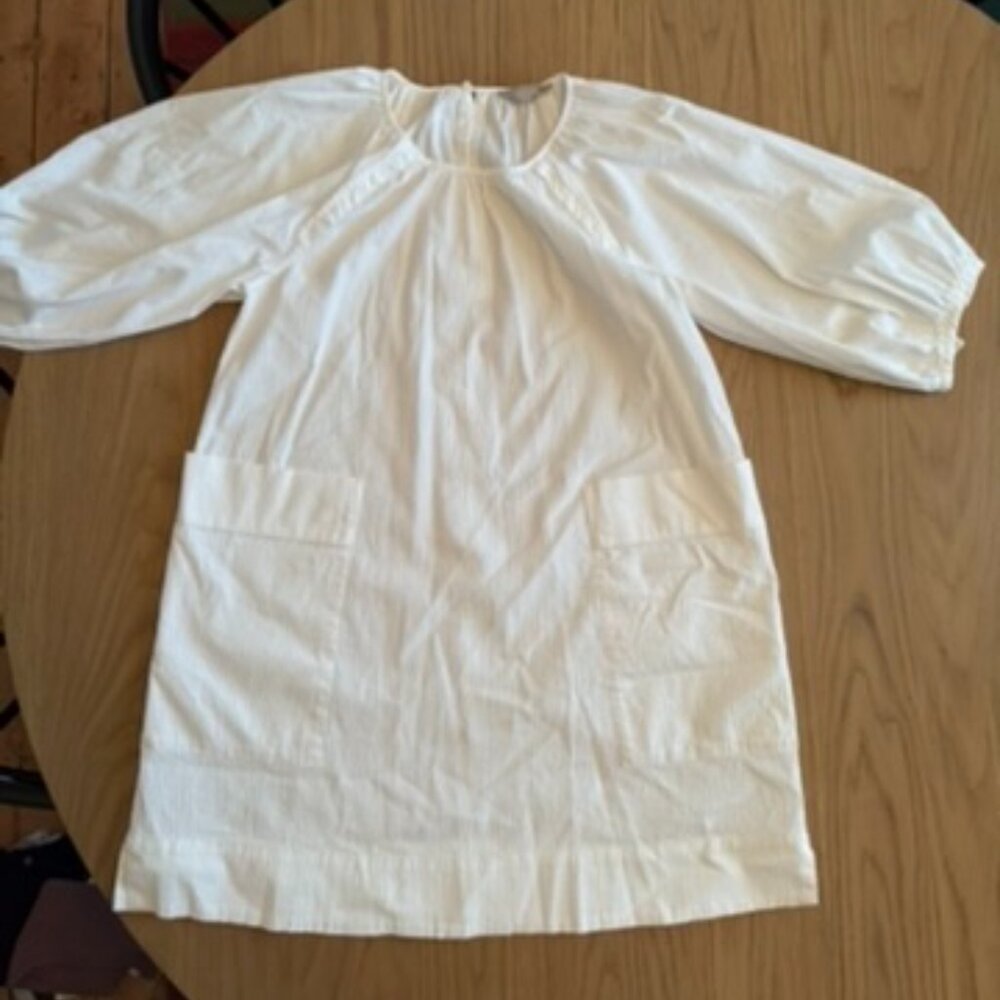 Everlane Seersucker Puff Sleeve Dress